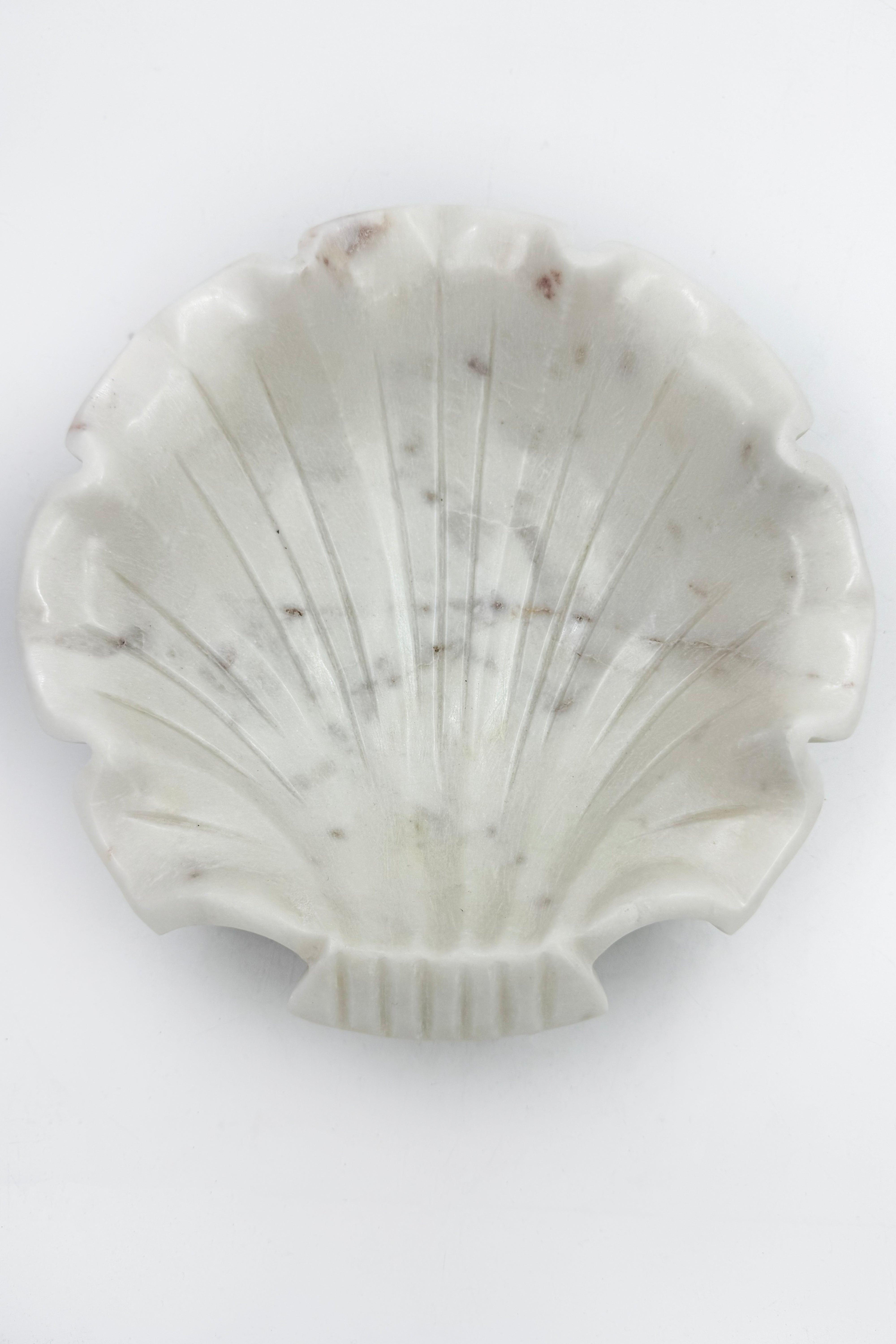 Sea Shell Urli