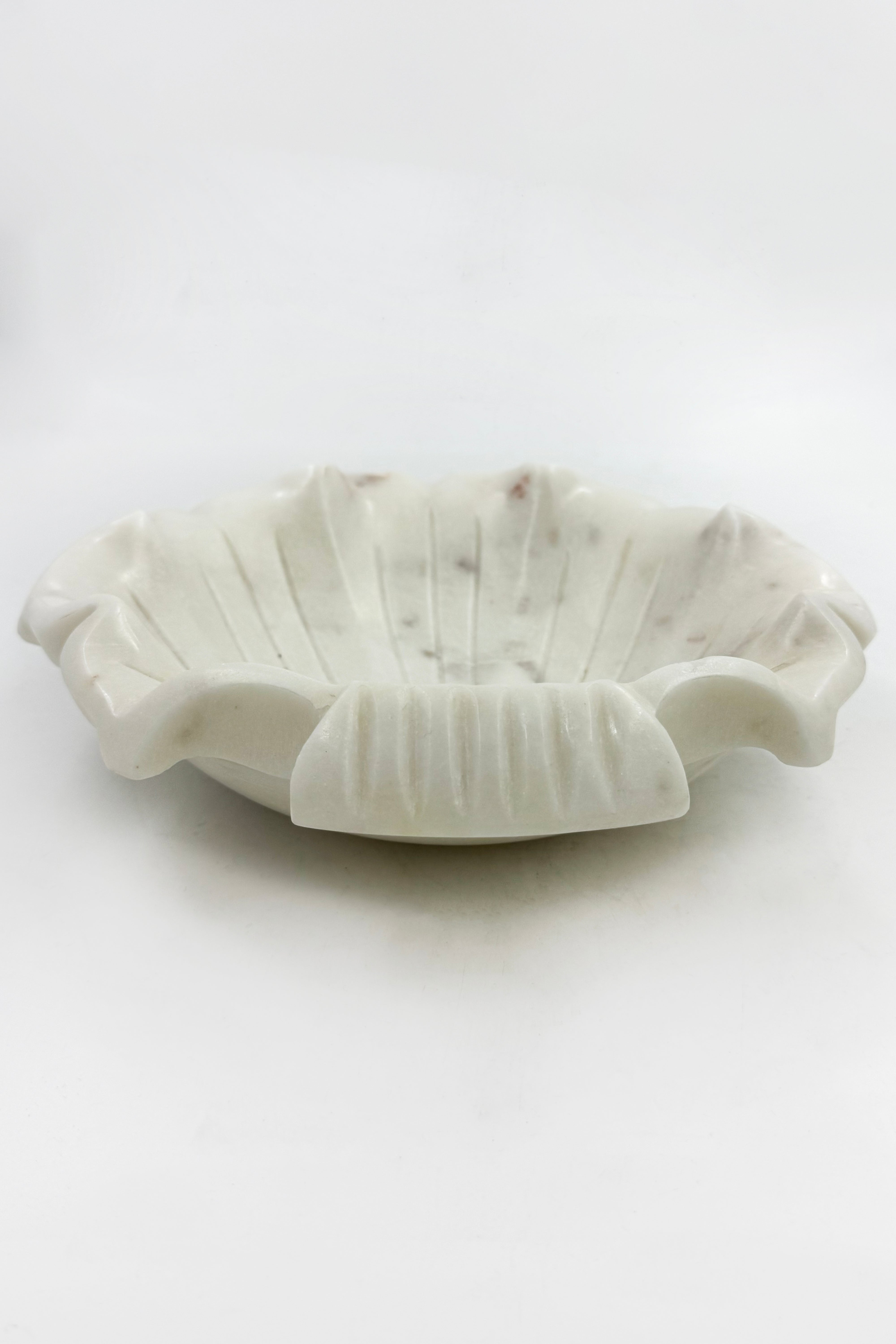 Sea Shell Urli